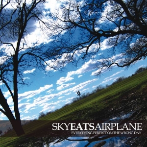 sky eats airplane duplicate